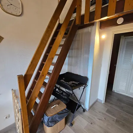 Cozy Avec Mezzanine דירה